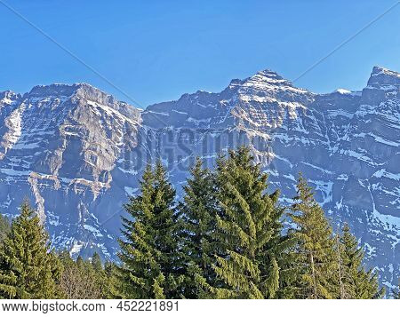 Evergreen Forest Or Coniferous Trees In Early Spring On The Slopes Of The Alpine Mountains Around Th