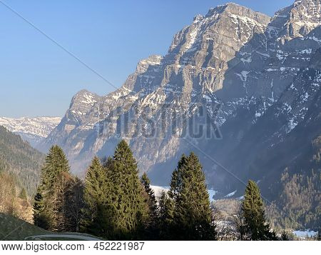 Evergreen Forest Or Coniferous Trees In Early Spring On The Slopes Of The Alpine Mountains Around Th