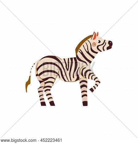 Zebra Vector Flat Cartoon Illustration. Cute African Zebra On White Background For Prints, Stickers,
