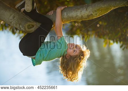 Cute Blonde Child Boy Hangs On A Tree Branch. Summer Holidays, Little Boy Climbing A Tree. Upside Do