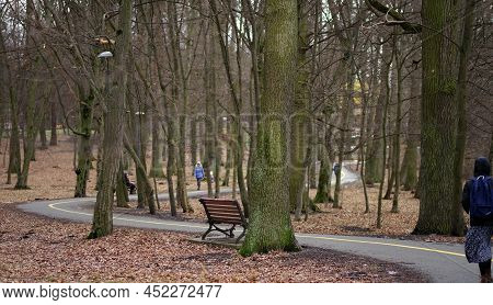 Bucha, Kyiv Region, Ukraine - February 18, 2022: City Park Of Bucha A Few Days Before The Start Of T