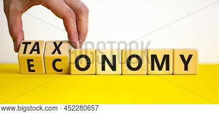 Taxonomy Or Economy Symbol. Businessman Turns Cubes, Changes The Word Economy To Taxonomy. Beautiful