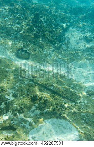 Photo Of The Lagoon