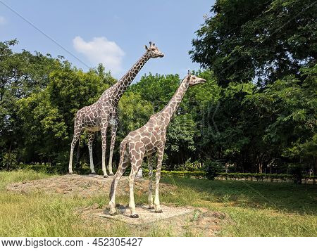 Beautiful Long View Of Giraffes Cement Sculptures Isolated In Gulbarga University Garden: Kalaburagi