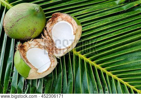 Young Fresh Sweet Thai Coconut Fruits With White Meat Put On Its Green Leaves For Summer Fruit Conce