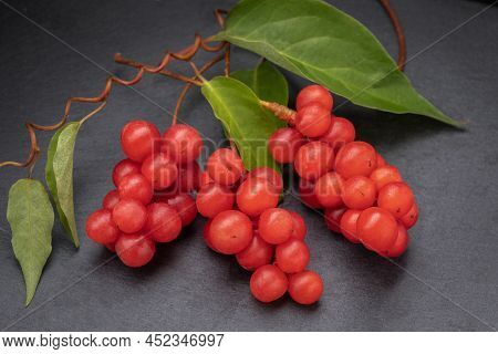Berry Of The Five Flavors, Or Schisandra Chinesis Closeup, On Black Background, Nature , Health Eati