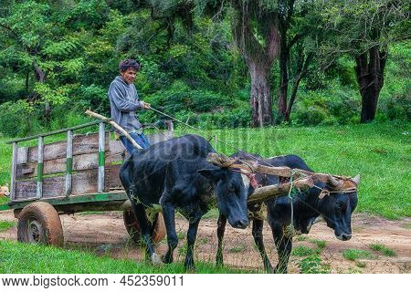Natalicio Talavera, Guaira, Paraguay - March 19, 2022: A Poor Farmer With Ox Cart In The Paraguayan 