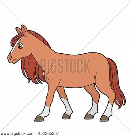 Cute Cartoon Horse Walk Color Variation For Coloring Page Isolated On White Background