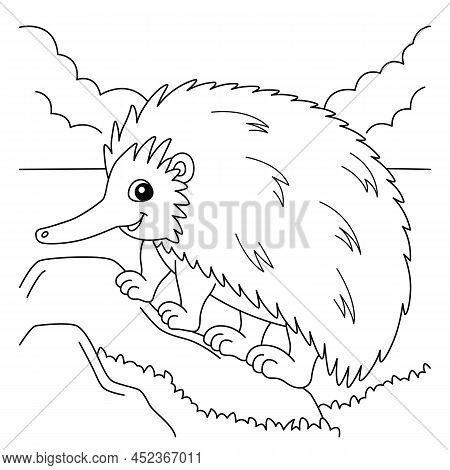 A Cute And Funny Coloring Page Of An Echidna Animal. Provides Hours Of Coloring Fun For Children. To