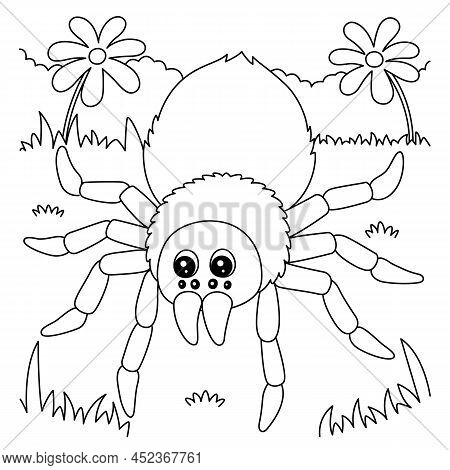 A Cute And Funny Coloring Page Of A Tarantula Animal. Provides Hours Of Coloring Fun For Children. T