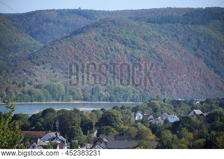 Mittelrheintal At Green Small Town Rhens In Autumn