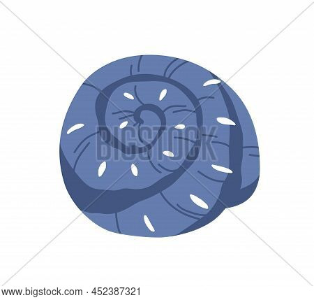 Snail Seashell. Marine Underwater Swirled Sea Shell. Undersea Mollusc. Spital Twisted Mollusk. Nauti