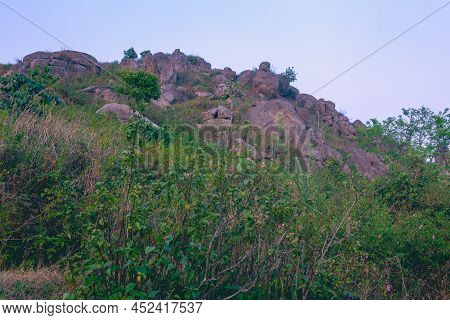 Trees And Rocks Along Terrain Area In Shevaroy Hills, Yercaud, India.