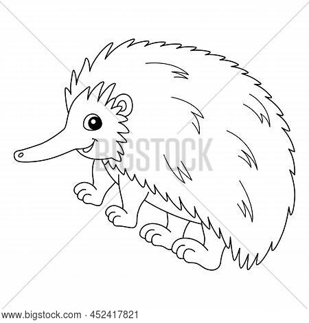 A Cute And Funny Coloring Page Of An Echidna Animal. Provides Hours Of Coloring Fun For Children. To