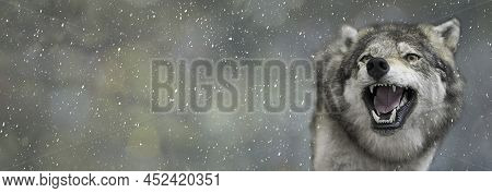 Wolf Portrait On A Blurred Spots Background With Copy Space.