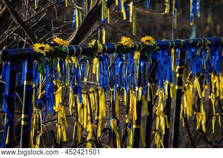 Ribbons On The Fence And Sunflowers, Symbols Of Ukraine. Blue And Yellw Are The Colors Of Ukrainian 