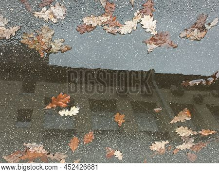 Building Roof And Leaves In A Puddle Of Water. Autumn Evening After The Rain. In A Puddle Of Water, 