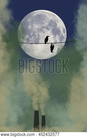 Noxious Smoke Is Seen At Night. Birds, One Alive, One Dead Are On A Wire In Front Of The Moon In Thi