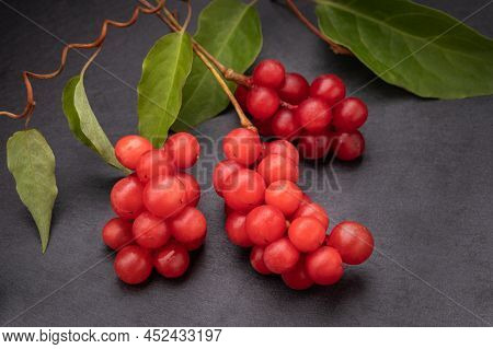 Berry Of The Five Flavors, Or Schisandra Chinesis Closeup, On Black Background, Nature , Health Eati