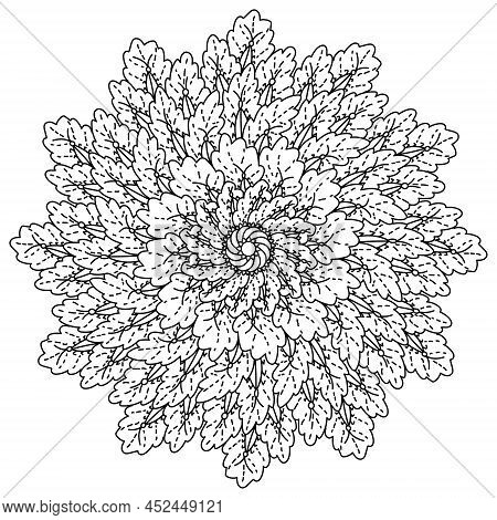Manadala With Plants And Beetles, Meditative Coloring Page With Oak Leaves And Insects Vector Illust