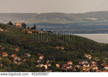 Vineyard In Badacsony, Famous Vine Region In Balaton Highland, Hungary. Vine Farm Aerial View.