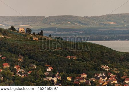 Vineyard In Badacsony, Famous Vine Region In Balaton Highland, Hungary. Vine Farm Aerial View.