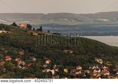 Vineyard In Badacsony, Famous Vine Region In Balaton Highland, Hungary. Vine Farm Aerial View.