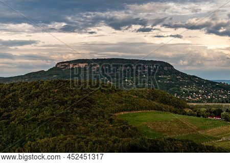 Vineyard In Badacsony, Famous Vine Region In Balaton Highland, Hungary. Vine Farm Aerial View.