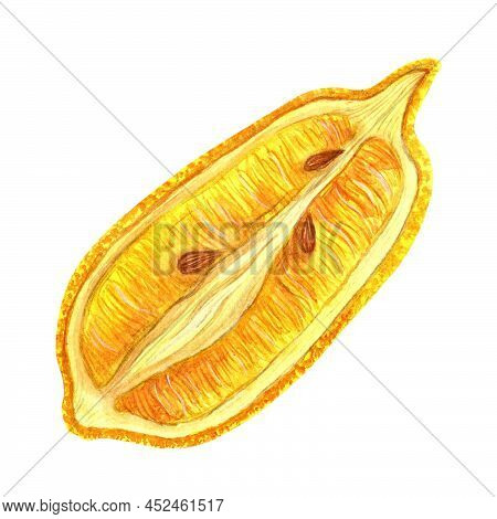 Lemon Sliced Lengthwise Watercolor Illustration. Hand Drawn Clipart Isolated On White Background. Ha
