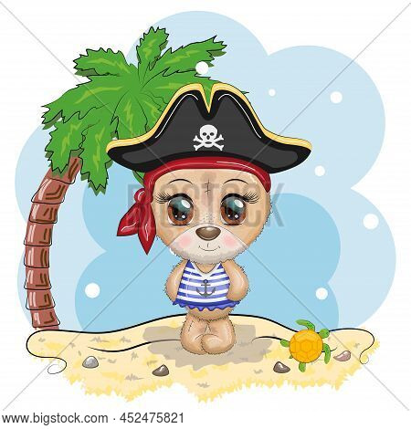 Teddy Bear Pirate, Cartoon Character Of The Game, Wild Animal In A Bandana And A Cocked Hat With A S