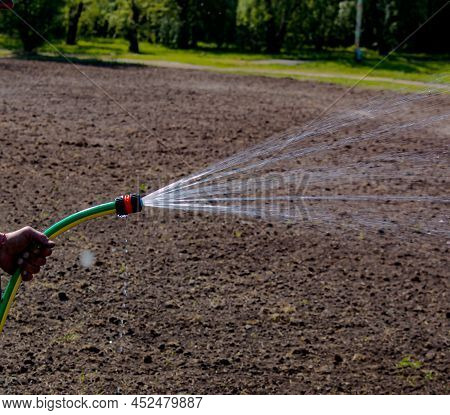 Man Holding Hose For Watering Plants In A Garden. A Powerful Jet, A Stream Of Clean Water, Drops Aim