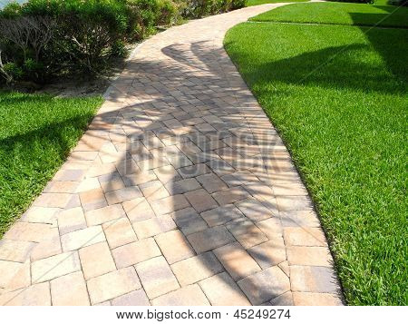 Palm Tree Shadow on the Walkway