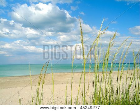 Clouds Hovering Over a Sea Grass Fringed Beach