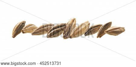 Barley Malt Grains Levitate On A White Background