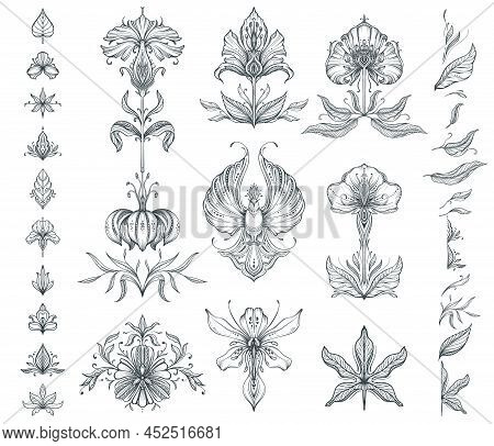 Vector Collection Of Hand Drawn Floral Elements, Flowers And Leaves.