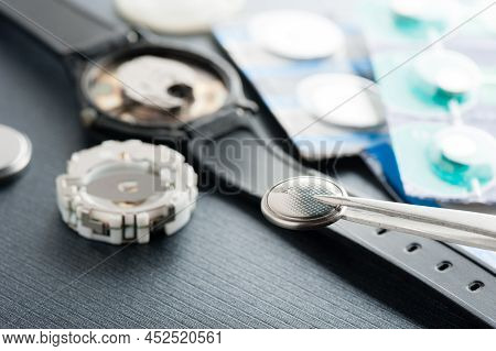 Button Cell Battery