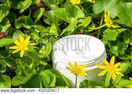 Foraged And Wild-harvested Beauty