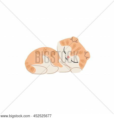 Cute Ginger Kitten Sleeping. Cartoon Domestic Animals Illustration.