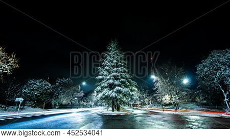 Cedar Full Of Snow And Moving Lights In Ifrane