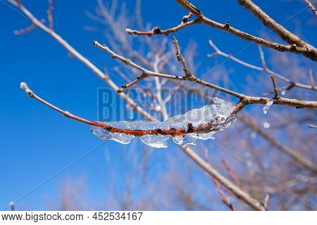 Iced Water Drops In Ifrane City In Morocco