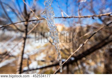 Iced Water Drops In Ifrane City In Morocco