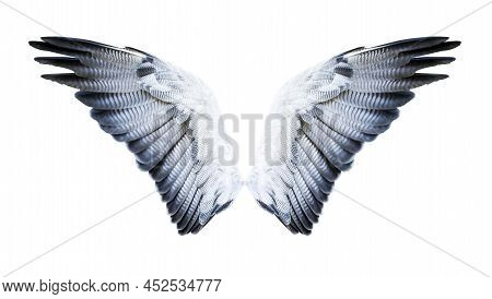 Pair Of Hawk Wings Isolated On White. Clipping Path Included.