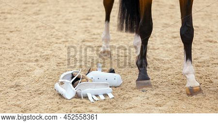 Closeup Of The Legs And Hooves From A Horse. Tendon Splint Boots Air Mesh For Horse. Equestrian Spor