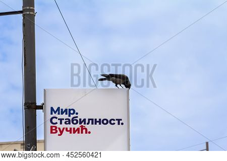 Belgrade, Serbia - March 28, 2022: Crow Standing On A Poster Saying Mir Stabilnost Vucic, Supporting