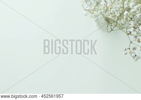 Gypsophila Flowers On Green Pastel Background, Minimalism, Spring Flower Blosssom Concept, Flat Lay,
