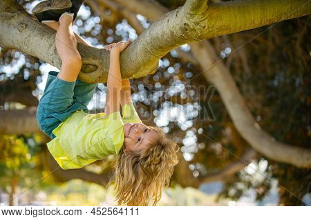 Portrait Of Cute Kid Boy Sitting On The Tree, Climbing A Tree. Active Boy Playing In The Garden. Kid