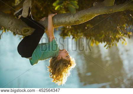 Childhood Leisure, Happy Kids Climbing Up Tree And Having Fun In Summer Park. Young Boy Playing And 