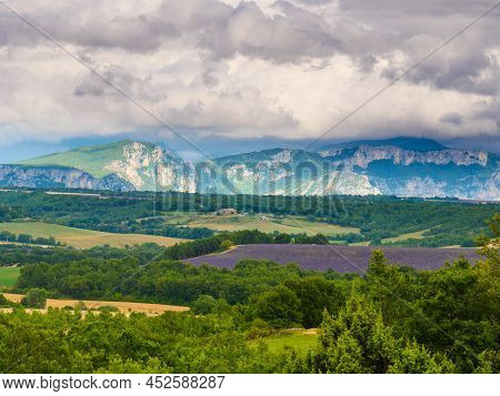 French Landscape With Blooming Lavender Fields And Mountains In Distance. Puimoisson Region, Plateau