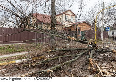 Bucha, Ukraine - Apr. 06, 2022: War In Ukraine. Broken And Fallen Tree. Chaos And Devastation On The