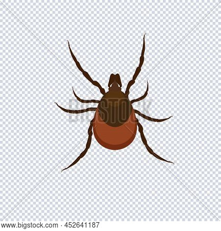Tick Parasite. Dog Mite Icon Flat Style On Transparent. Great For Design Parasite Pest Control, Para